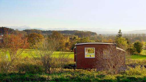 Ein kleines Container-Haus steht auf einer Wiese in der Abendsonne.